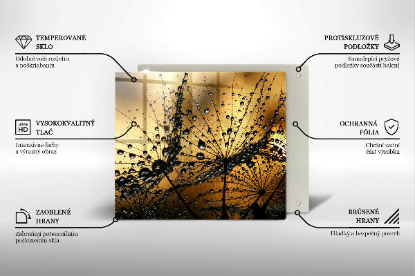 Sklo za varnou desku Rosa a pampelišky