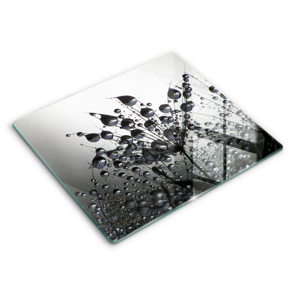 Sklo za varnou desku Pampelišky a rosa