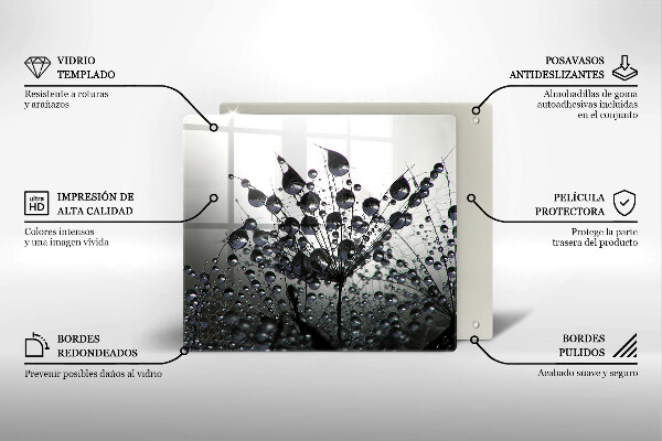 Sklo za varnou desku Pampelišky a rosa