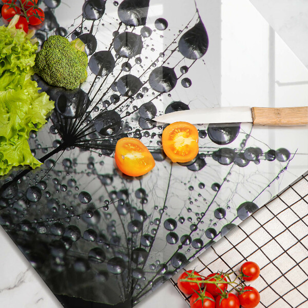 Sklo za varnou desku Pampelišky a rosa