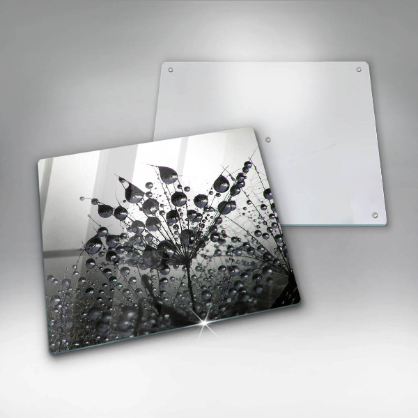 Sklo za varnou desku Pampelišky a rosa