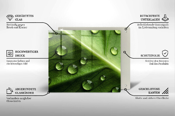 Sklo za varnou desku Příroda rosa a list