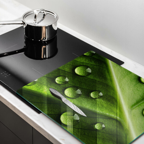 Sklo za varnou desku Příroda rosa a list