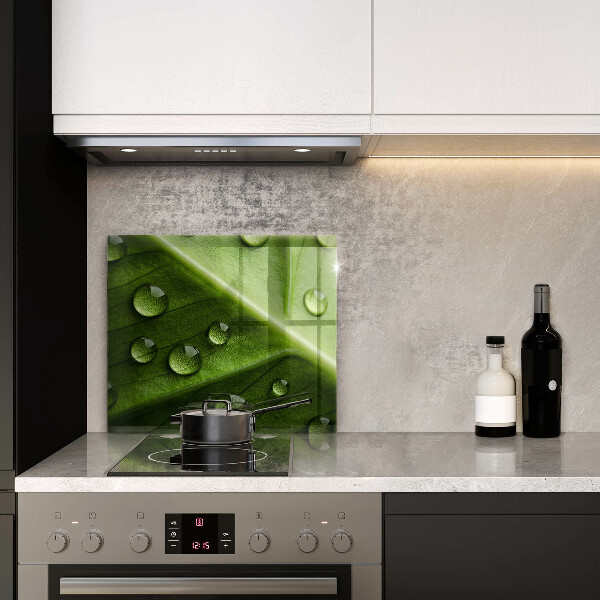 Sklo za varnou desku Příroda rosa a list