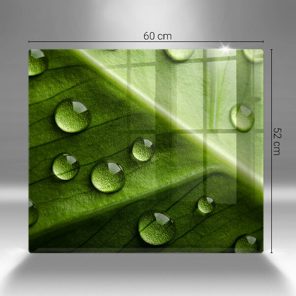 Sklo za varnou desku Příroda rosa a list