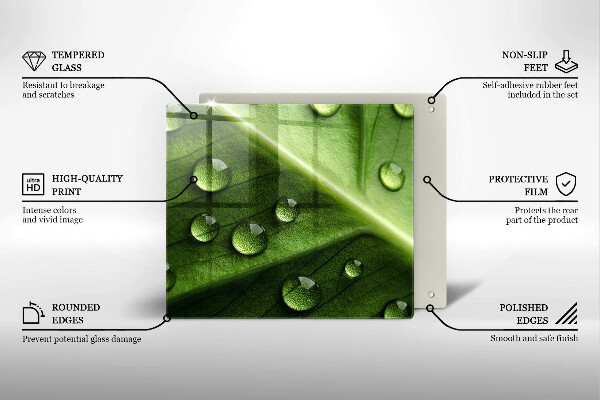 Sklo za varnou desku Příroda rosa a list