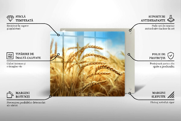 Sklo za varnou desku Klasy obilovin na poli