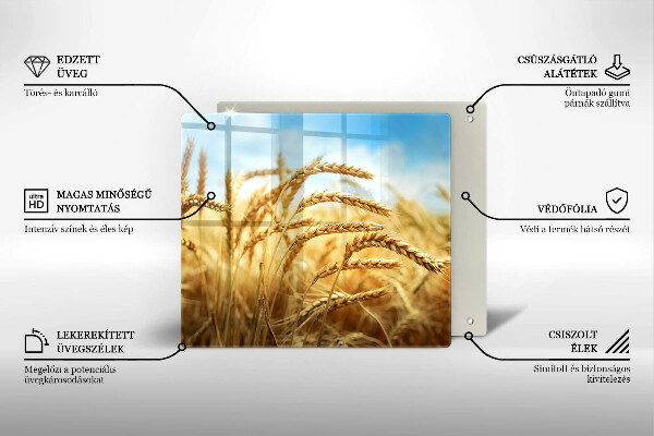 Sklo za varnou desku Klasy obilovin na poli