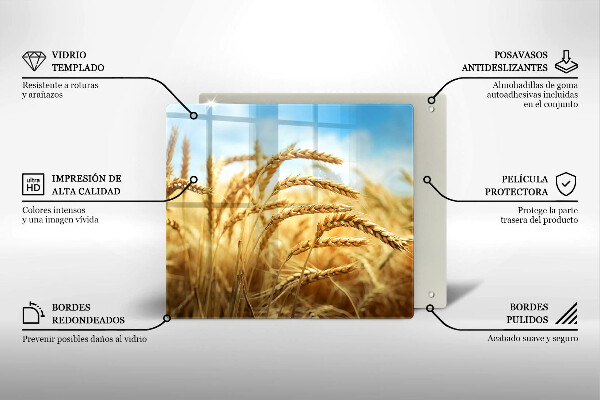 Sklo za varnou desku Klasy obilovin na poli