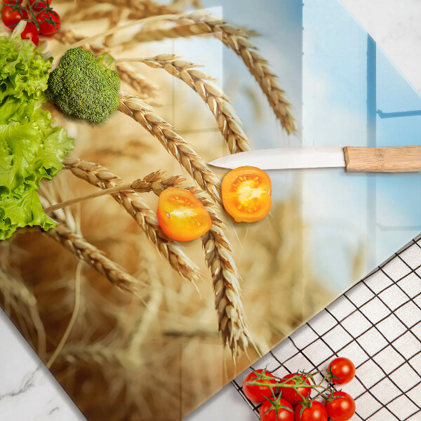 Sklo za varnou desku Klasy obilovin na poli