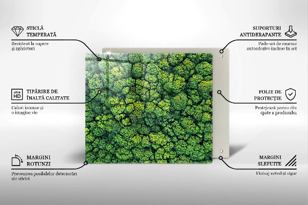 Sklo za varnou desku Přírodní mechová rostlina