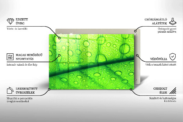 Skleněná deska za sporák Detailní záběr na list