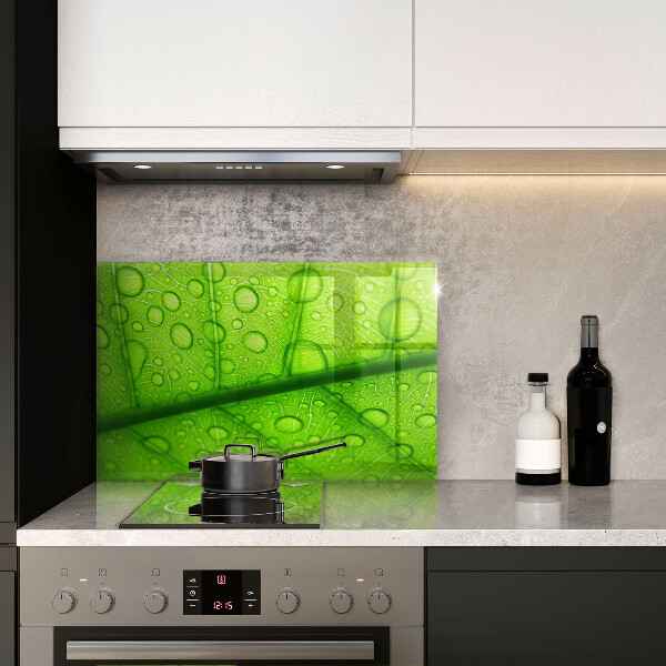 Skleněná deska za sporák Detailní záběr na list