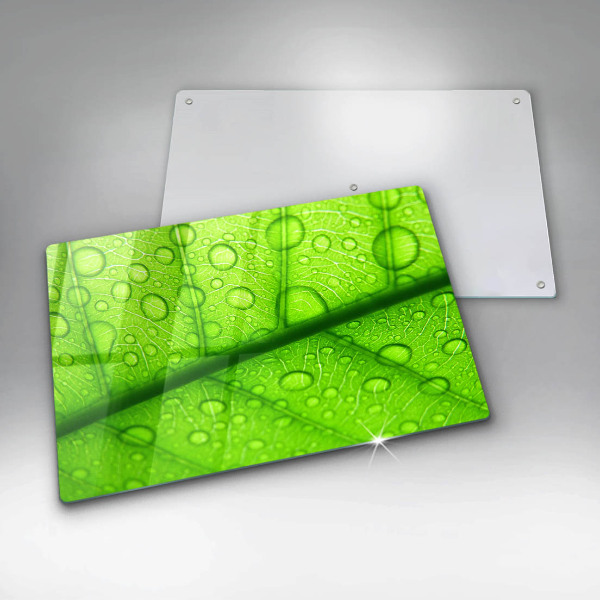 Skleněná deska za sporák Detailní záběr na list