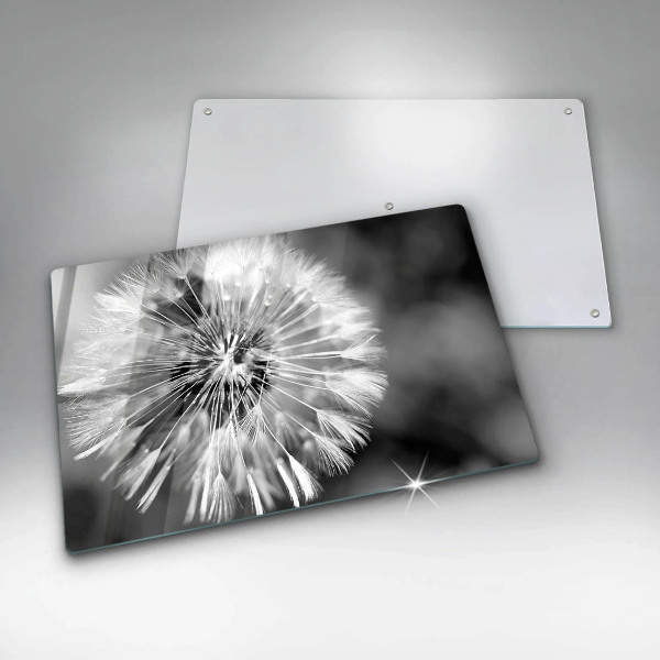 Skleněná deska za sporák Jemná pampeliška