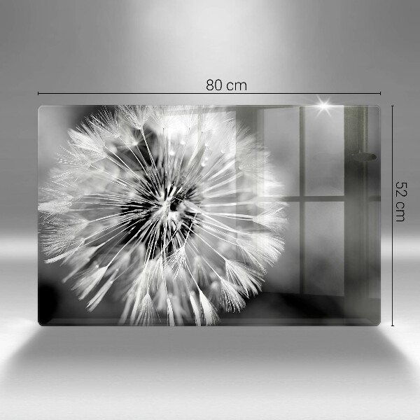 Skleněná deska za sporák Jemná pampeliška