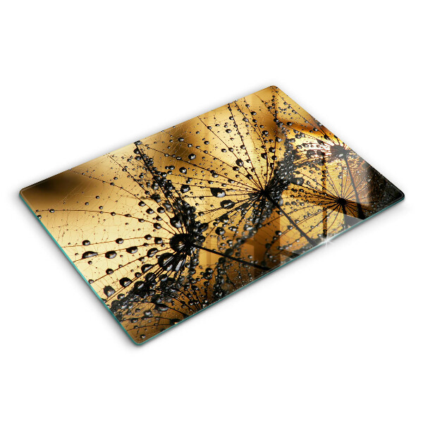 Skleněná deska za sporák Rosa a pampelišky