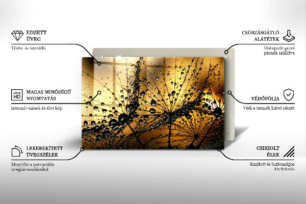 Skleněná deska za sporák Rosa a pampelišky