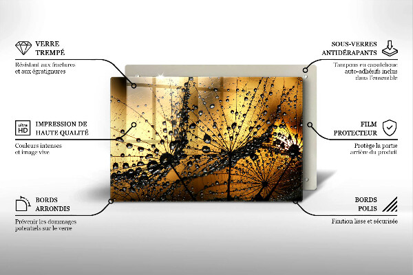 Skleněná deska za sporák Rosa a pampelišky