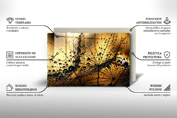 Skleněná deska za sporák Rosa a pampelišky