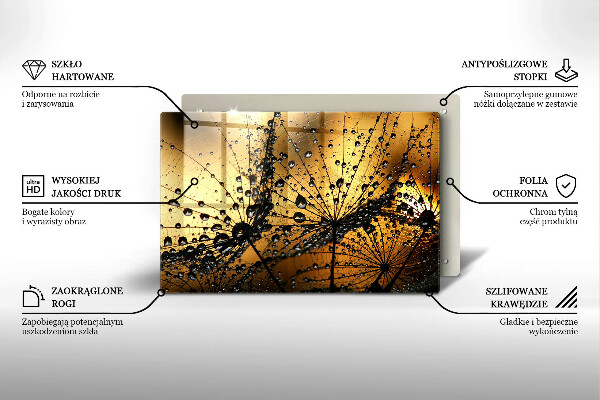 Skleněná deska za sporák Rosa a pampelišky