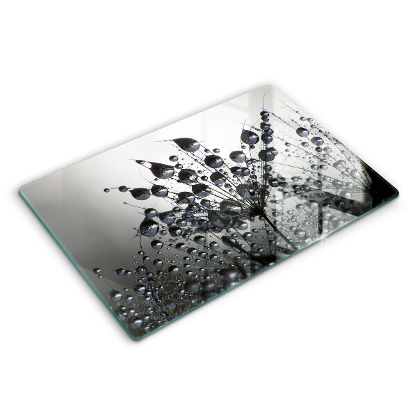 Skleněná deska za sporák Pampelišky a rosa