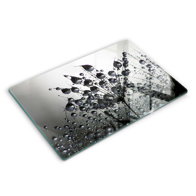 Skleněná deska za sporák Pampelišky a rosa