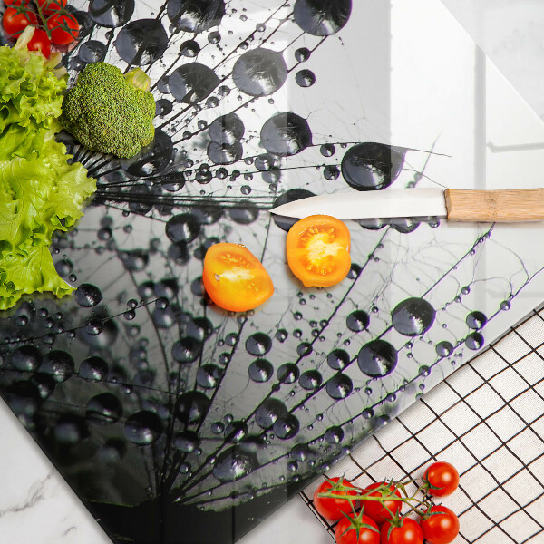 Skleněná deska za sporák Pampelišky a rosa