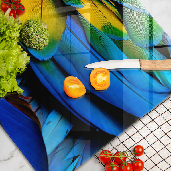 Skleněná deska za sporák Barevné papouščí peří