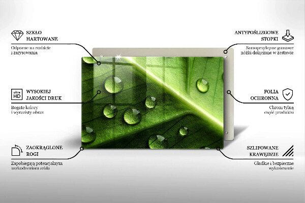 Skleněná deska za sporák Příroda rosa a list