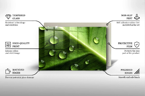 Skleněná deska za sporák Příroda rosa a list