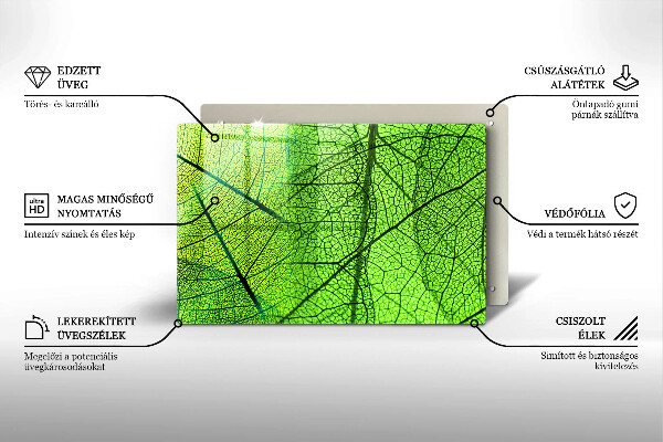 Skleněná deska za sporák Přírodní listové žíly