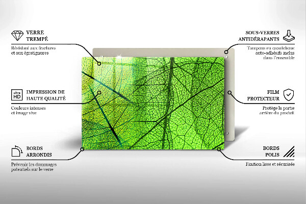Skleněná deska za sporák Přírodní listové žíly