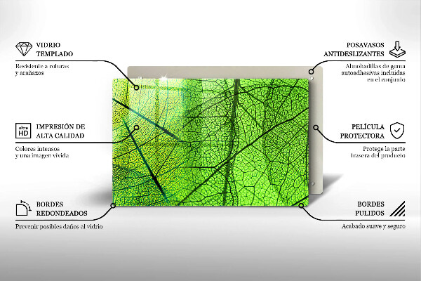 Skleněná deska za sporák Přírodní listové žíly