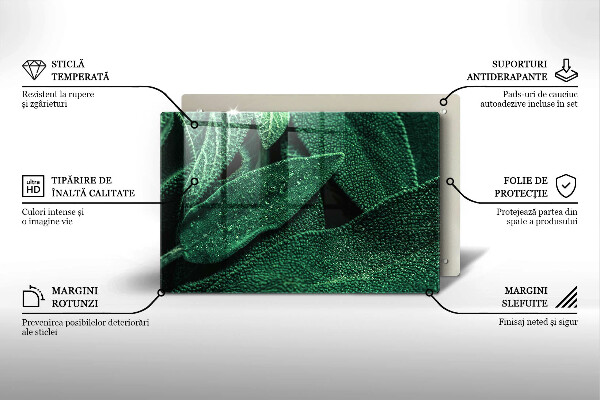 Skleněná deska za sporák Listy rostliny