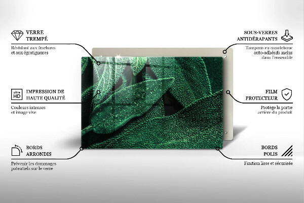 Skleněná deska za sporák Listy rostliny