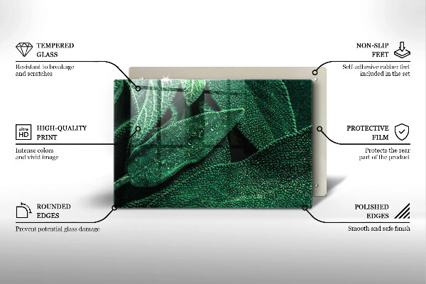 Skleněná deska za sporák Listy rostliny