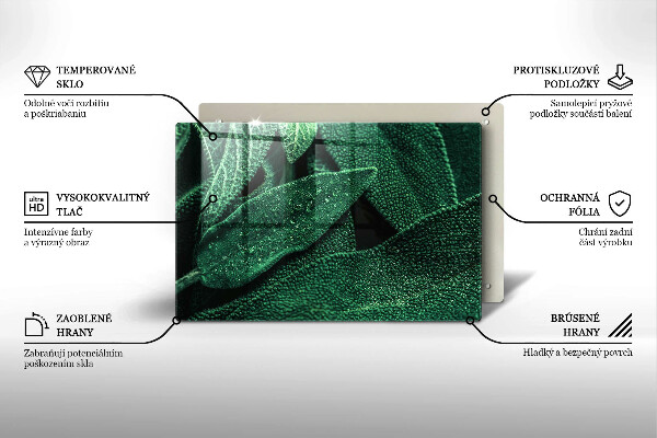 Skleněná deska za sporák Listy rostliny