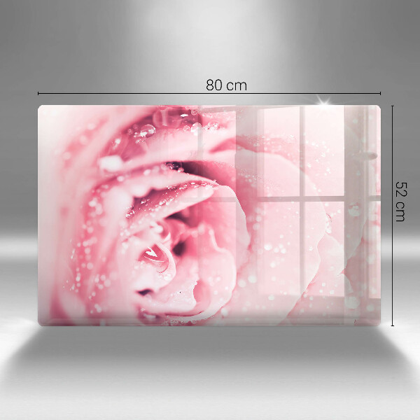 Skleněná deska za sporák Kapky rosy a květ růže