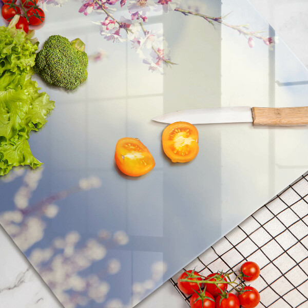 Skleněná deska za sporák Kvetoucí strom