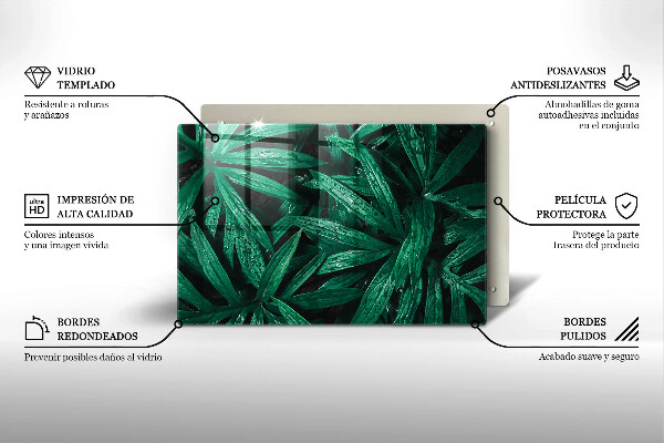 Skleněná deska za sporák Listy rostlin