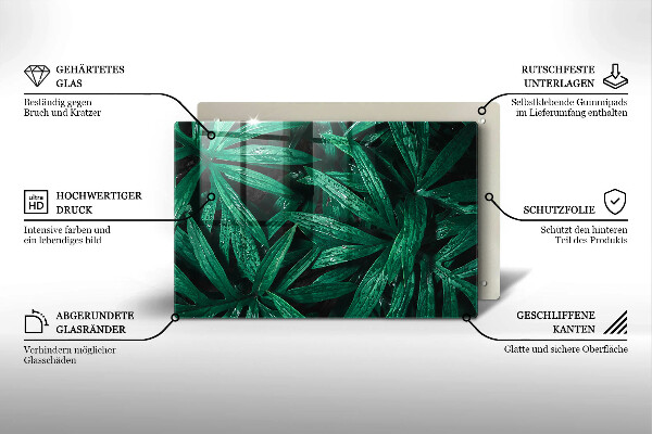 Skleněná deska za sporák Listy rostlin