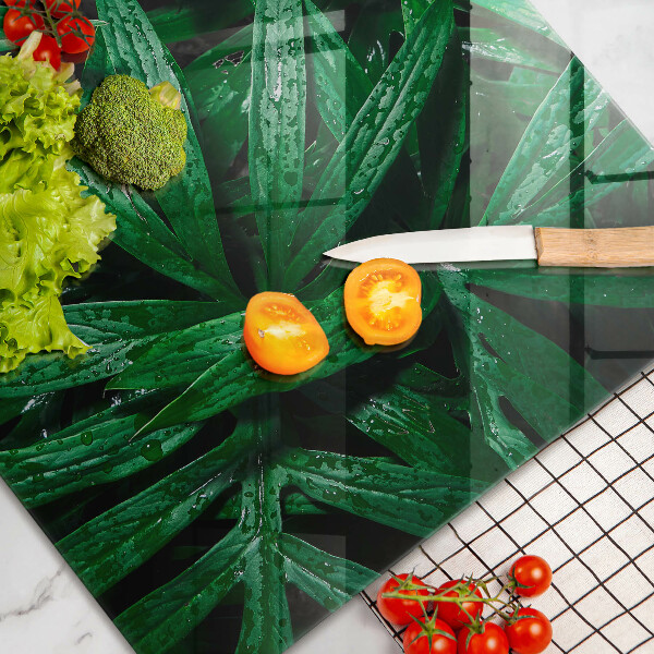 Skleněná deska za sporák Listy rostlin