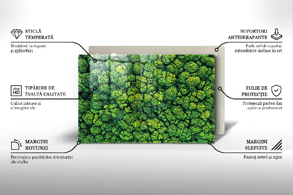 Skleněná deska za sporák Přírodní mechová rostlina