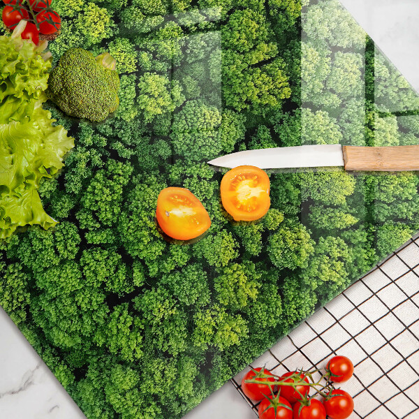 Skleněná deska za sporák Přírodní mechová rostlina