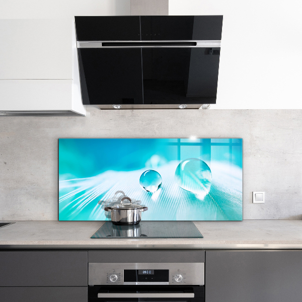 Skleněný panel Rosa na jemném peří