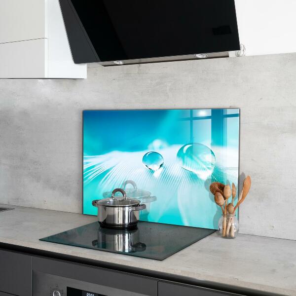 Skleněný panel Rosa na jemném peří