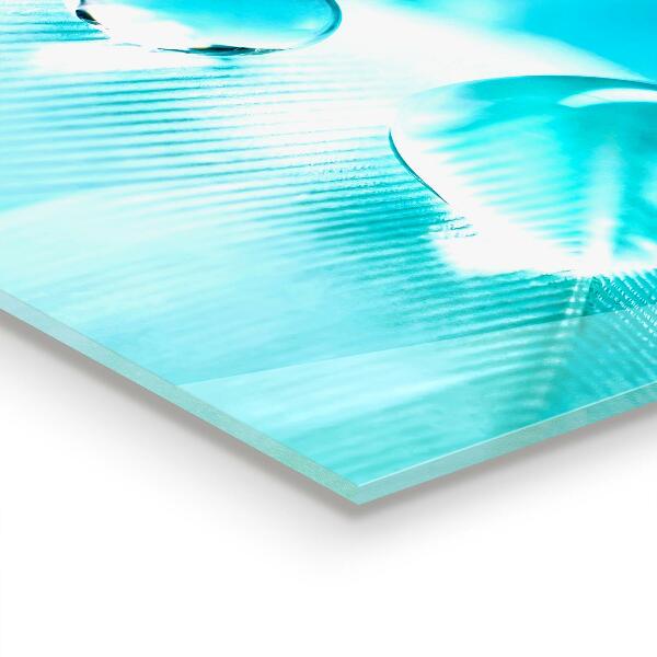 Skleněný panel Rosa na jemném peří