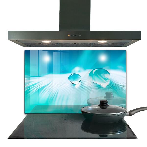 Skleněný panel Rosa na jemném peří