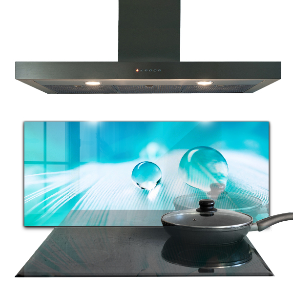 Skleněný panel Rosa na jemném peří